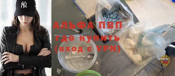 стаф Алексин