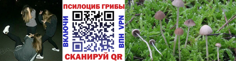 Галлюциногенные грибы MAGIC MUSHROOMS закладки Курганинск