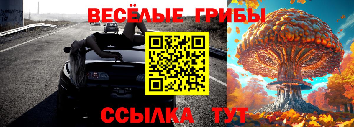 Псилоцибиновые грибы Psilocybe Курганинск